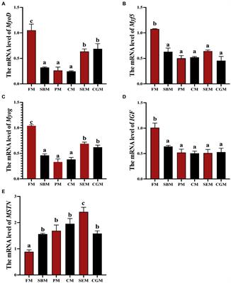 Comprehensive analysis of metabolomics on flesh quality of yellow catfish (Pelteobagrus fulvidraco) fed plant-based protein diet